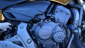 Honda Hornet 600 (2007 - 10)  (5)