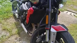 Triumph Trident 660 (2021 - 24)  (3)