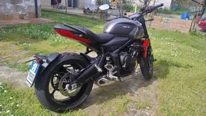 Triumph Trident 660 (2021 - 24)  (2)
