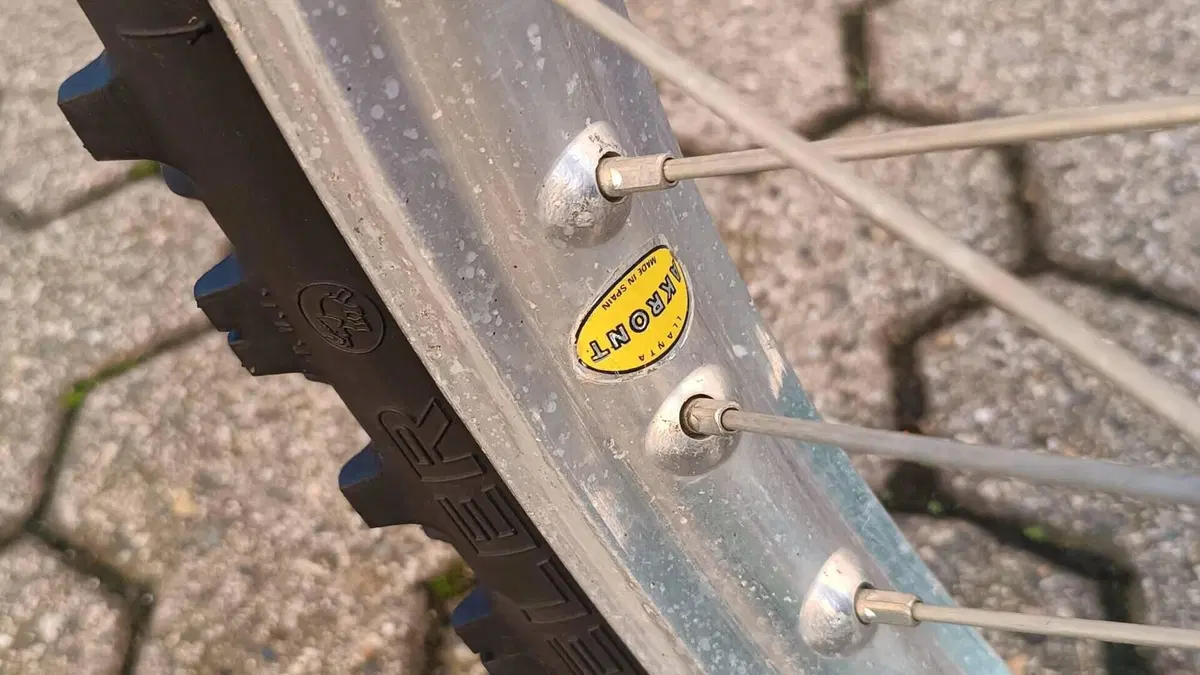 Fantic Motor   (5)