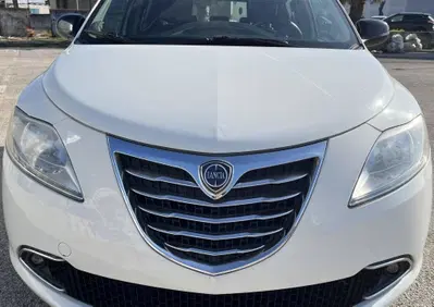 Lancia Ypsilon 1.3 MJT 16V 95 CV 5 porte S&S Platinum (5)