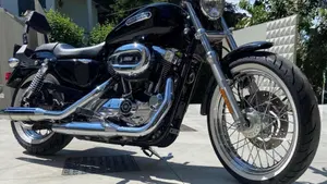 Harley-Davidson 1200 Low (2006 - 07) - XL 1200L 