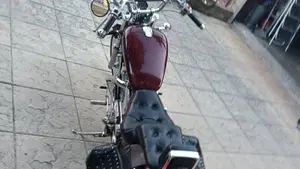 Suzuki VS 800 GL Intruder (1994 - 98)  (2)