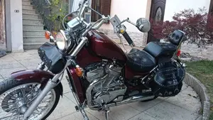 Suzuki VS 800 GL Intruder (1994 - 98)  (5)
