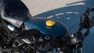 Harley-Davidson 883 Iron (2009 - 11) - XL 883N  (3)