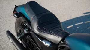 Harley-Davidson 883 Iron (2009 - 11) - XL 883N  (4)