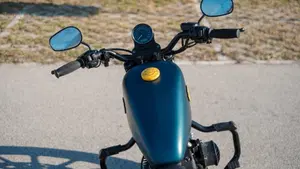 Harley-Davidson 883 Iron (2009 - 11) - XL 883N  (5)