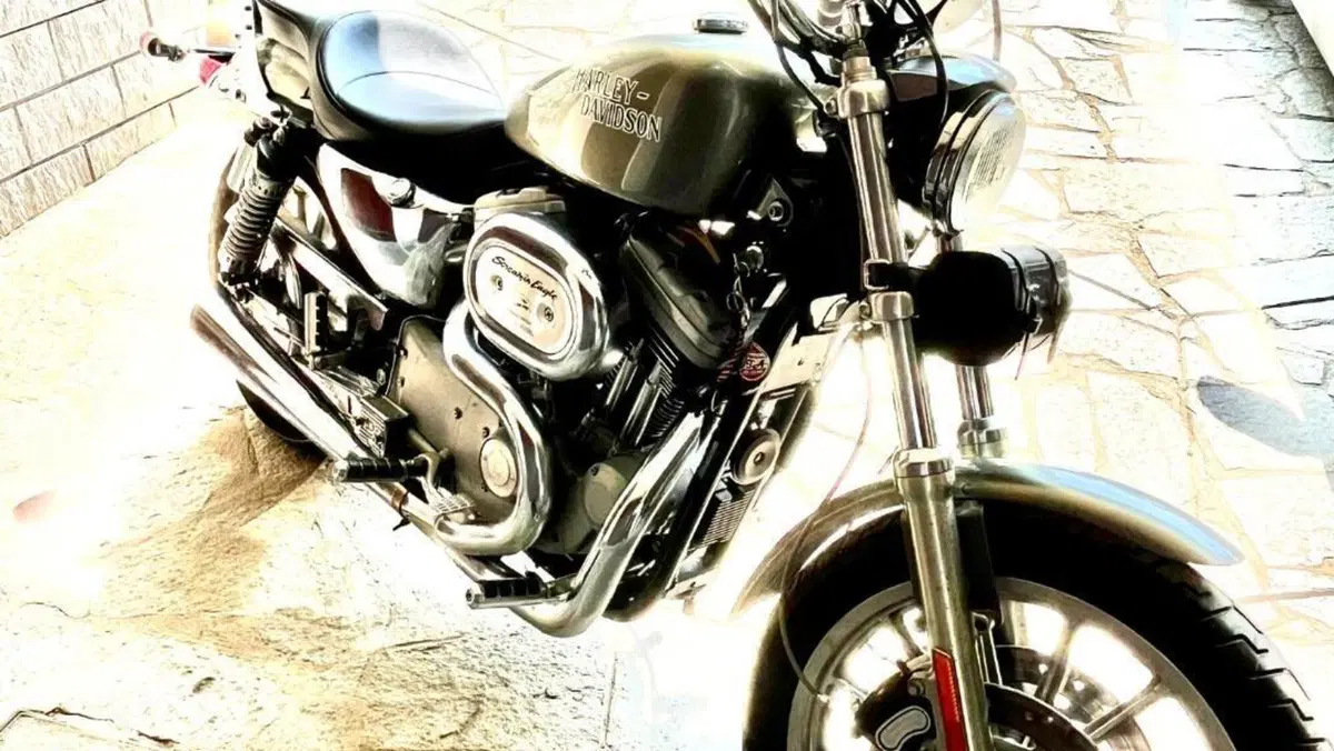 Harley-Davidson 1200 Sport (1996 - 00) - XL 1200S  (3)