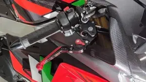 Aprilia RSV4 1100 Factory (2021 - 24)  (2)