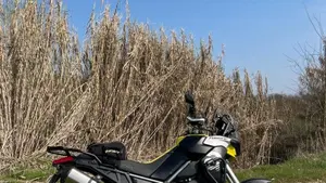 Aprilia Tuareg 660 (2022 - 24) 