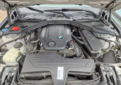 BMW Serie 3 320d xDrive Business Advantage aut. (8)