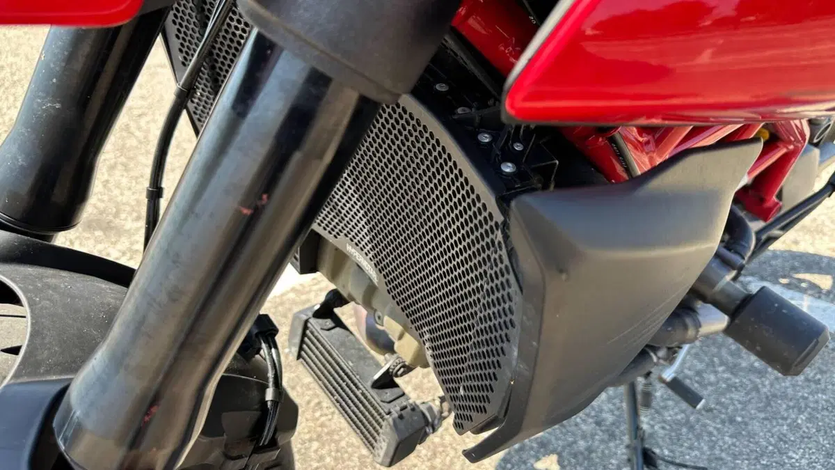 Ducati Hypermotard 950 (2022 - 25)  (7)