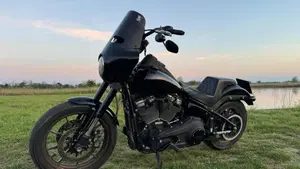 Harley-Davidson 114 Low Rider S (2021) - FXLRS  (5)