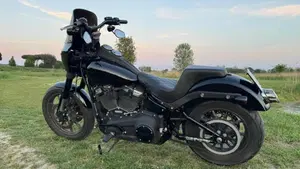 Harley-Davidson 114 Low Rider S (2021) - FXLRS  (6)