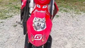 GASGAS EC 350 F (2023)  (4)