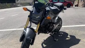 Honda MSX 125 (2016 - 17)  (2)