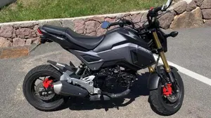Honda MSX 125 (2016 - 17)  (3)
