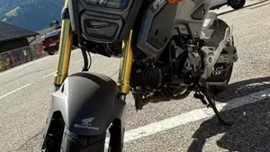 Honda MSX 125 (2016 - 17)  (4)