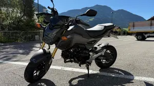 Honda MSX 125 (2016 - 17)  (5)