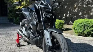 Yamaha MT-125 (2021 - 24)  (2)