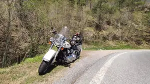 Harley-Davidson 1690 Deluxe ABS (2011 - 16) - FLSTN  (2)