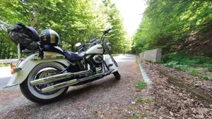 Harley-Davidson 1690 Deluxe ABS (2011 - 16) - FLSTN  (3)