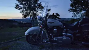 Harley-Davidson 1690 Deluxe ABS (2011 - 16) - FLSTN  (5)
