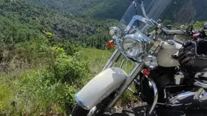 Harley-Davidson 1690 Deluxe ABS (2011 - 16) - FLSTN  (7)