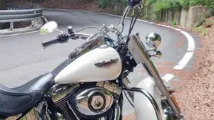 Harley-Davidson 1690 Deluxe ABS (2011 - 16) - FLSTN  (8)