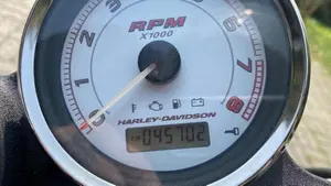 Harley-Davidson 1200 XR (2009 - 12)  (7)
