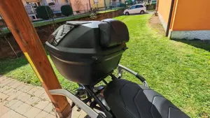 Ducati Scrambler 1100 (2018 - 20)  (5)