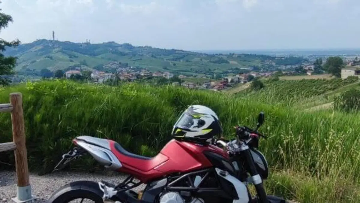 MV Agusta Brutale 800 EAS ABS (2012 - 15)  (9)