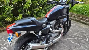 Harley-Davidson 1200 XR (2009 - 12)  (3)