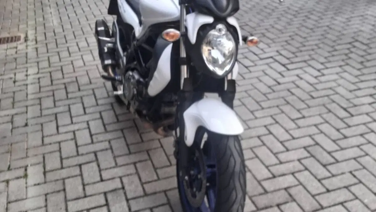 Suzuki Gladius 650 SFV (2009 - 15)  (3)