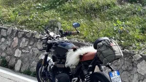 Triumph Speed Twin 1200 (2021 - 24)  (6)