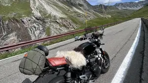 Triumph Speed Twin 1200 (2021 - 24)  (8)