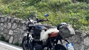 Triumph Speed Twin 1200 (2021 - 24)  (11)