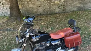 Triumph Speed Twin 1200 (2021 - 24)  (14)