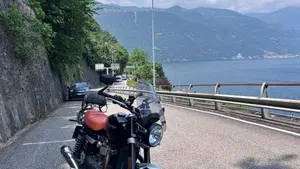 Triumph Speed Twin 1200 (2021 - 24)  (15)