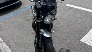 Triumph Speed Twin 1200 (2021 - 24)  (17)