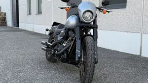 Harley-Davidson 114 Low Rider S (2020) - FXLRS  (2)