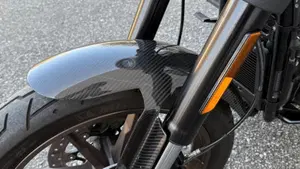 Harley-Davidson 114 Low Rider S (2020) - FXLRS  (7)