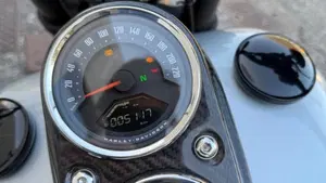 Harley-Davidson 114 Low Rider S (2020) - FXLRS  (8)