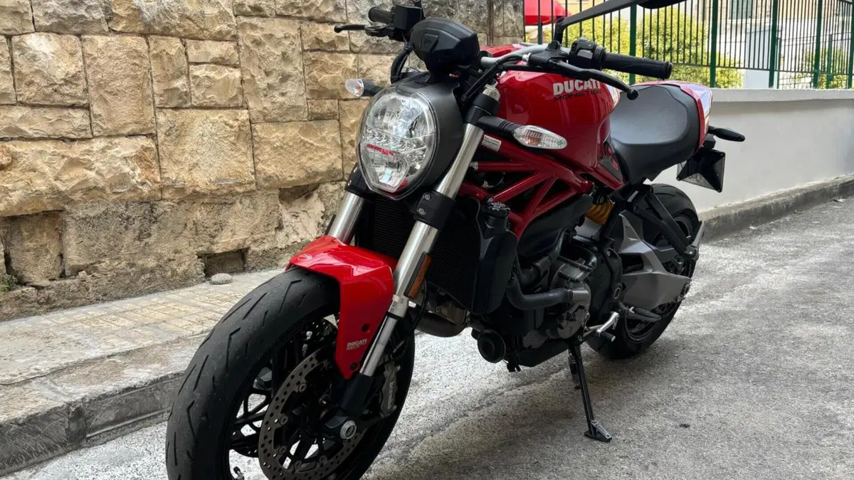 Ducati Monster 821 (2018 - 20)  (3)