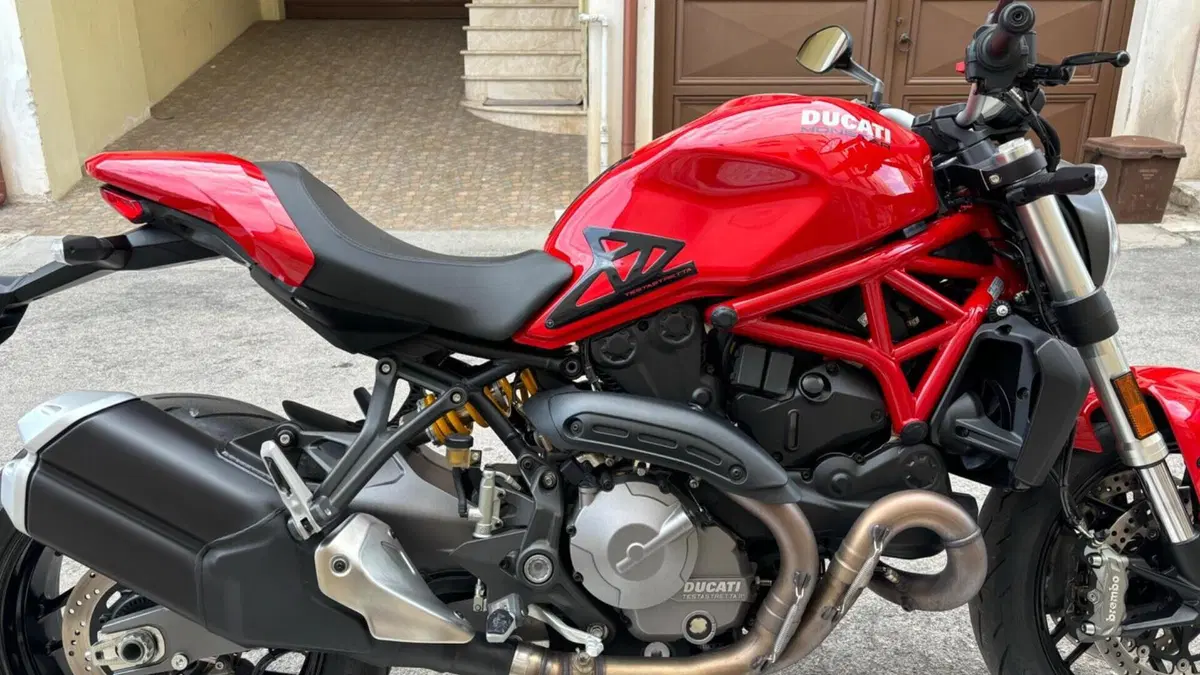 Ducati Monster 821 (2018 - 20)  (4)