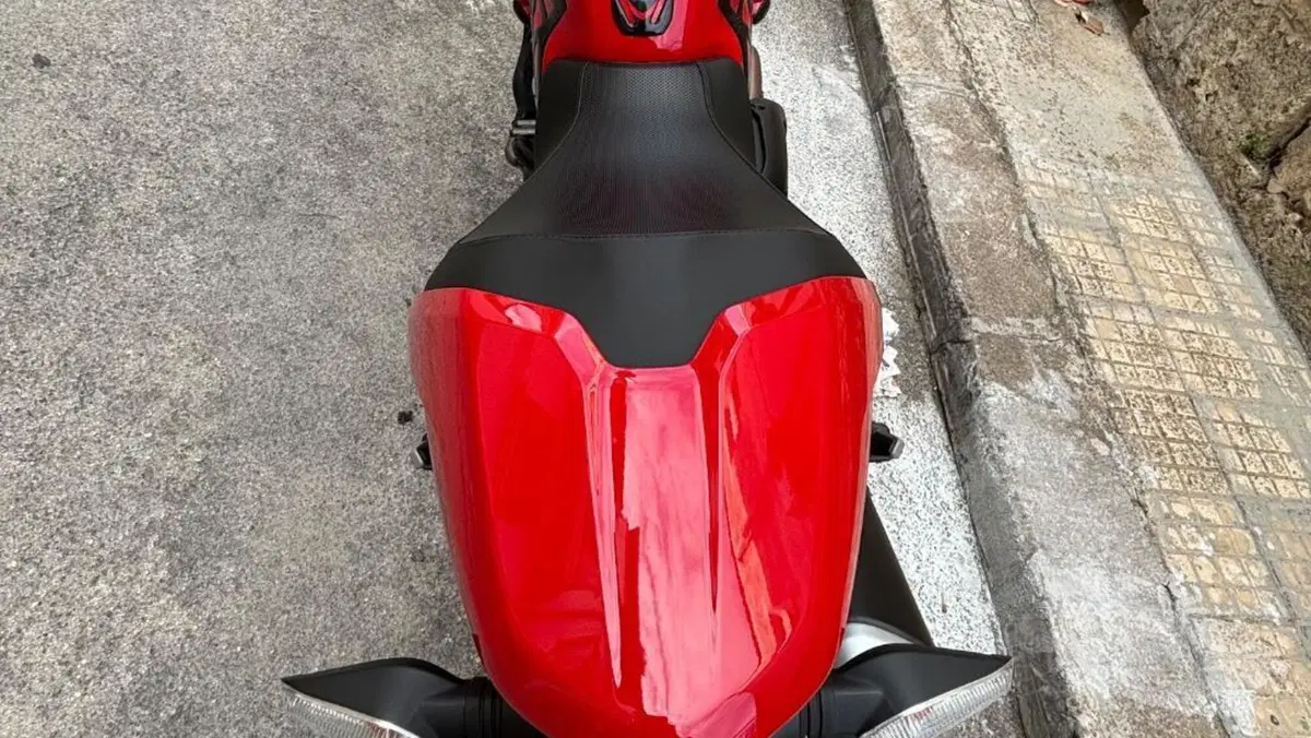 Ducati Monster 821 (2018 - 20)  (7)