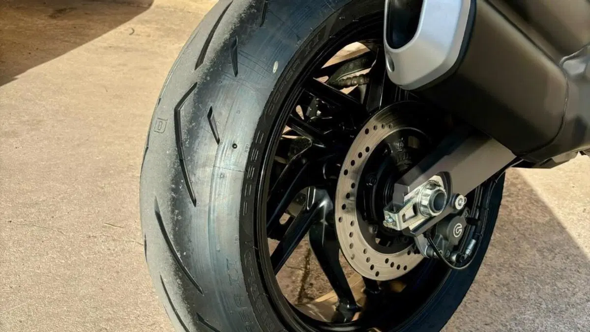 Ducati Monster 821 (2018 - 20)  (9)