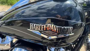 Harley-Davidson 107 Low Rider (2018 - 20) - FXLR  (10)