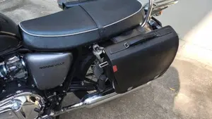 Triumph Bonneville T100 (2008 - 16)  (2)
