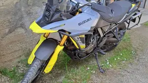 Suzuki V-Strom 800SE (2023 - 24)  (9)